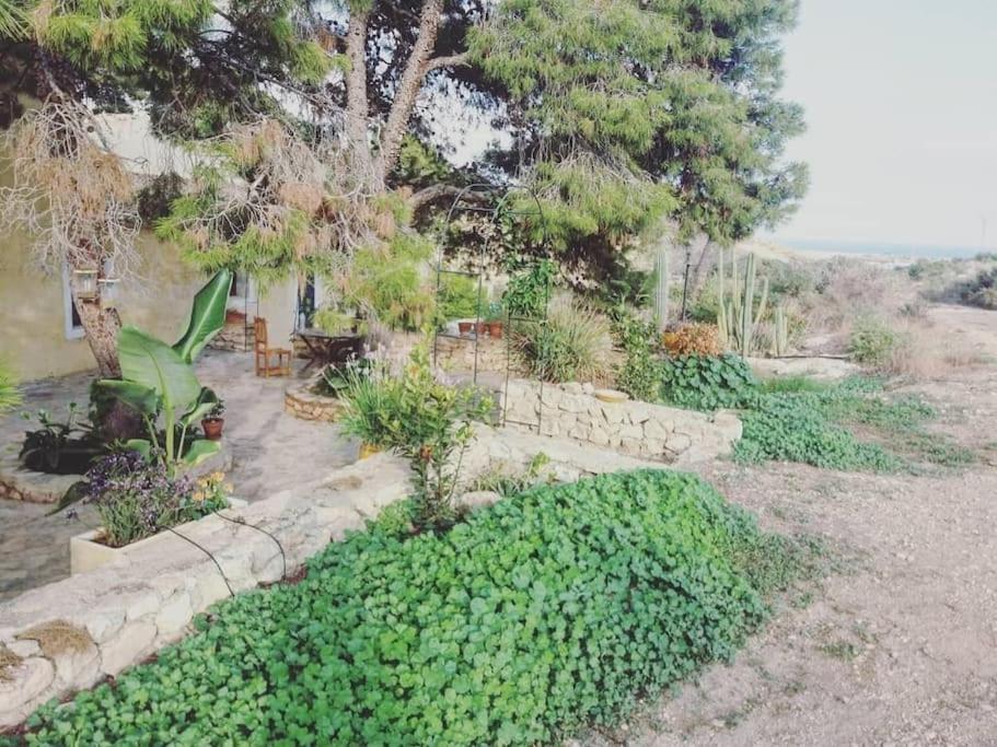 Вілла Oasis De Ifre Canada de Gallego Екстер'єр фото