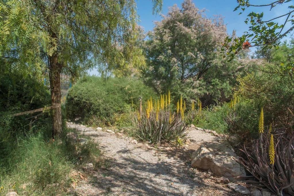 Вілла Oasis De Ifre Canada de Gallego Екстер'єр фото