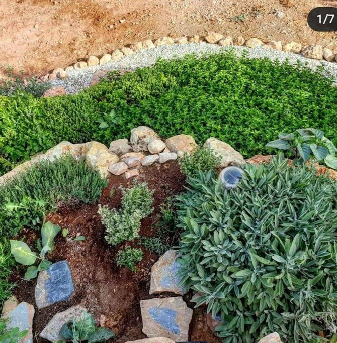 Вілла Oasis De Ifre Canada de Gallego Екстер'єр фото